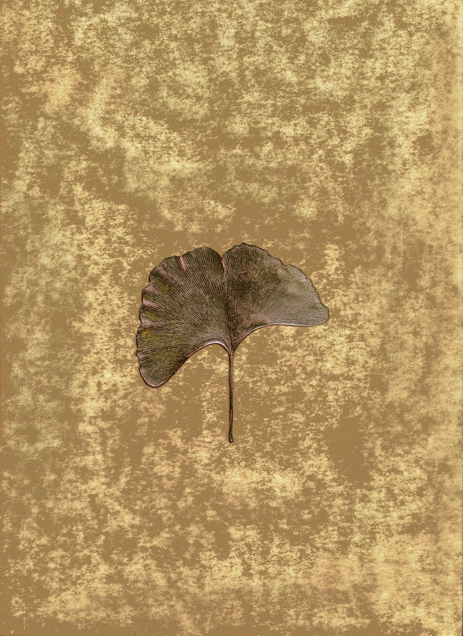  de Antonius Antonius