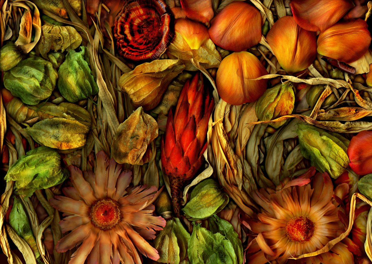  de Antonius Antonius