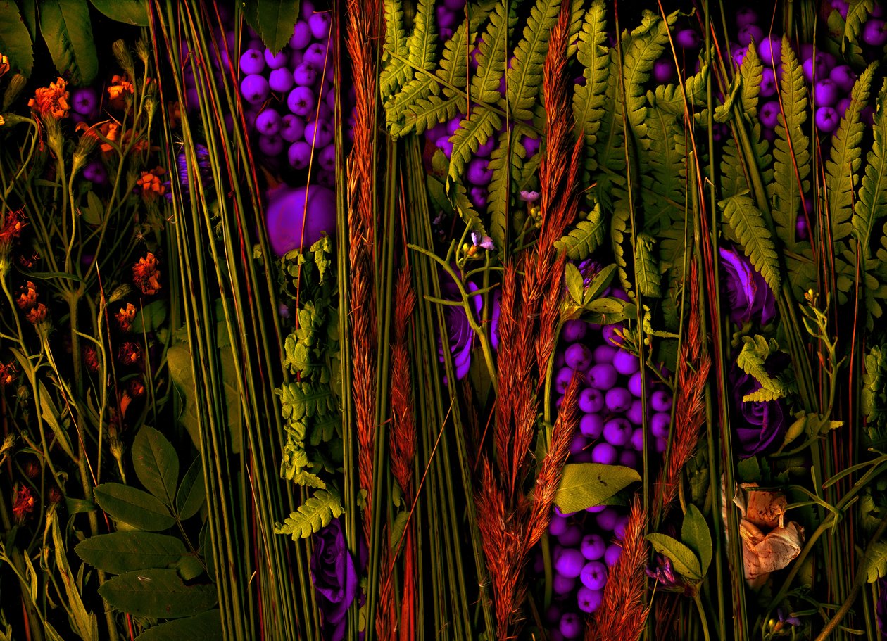  de Antonius Antonius