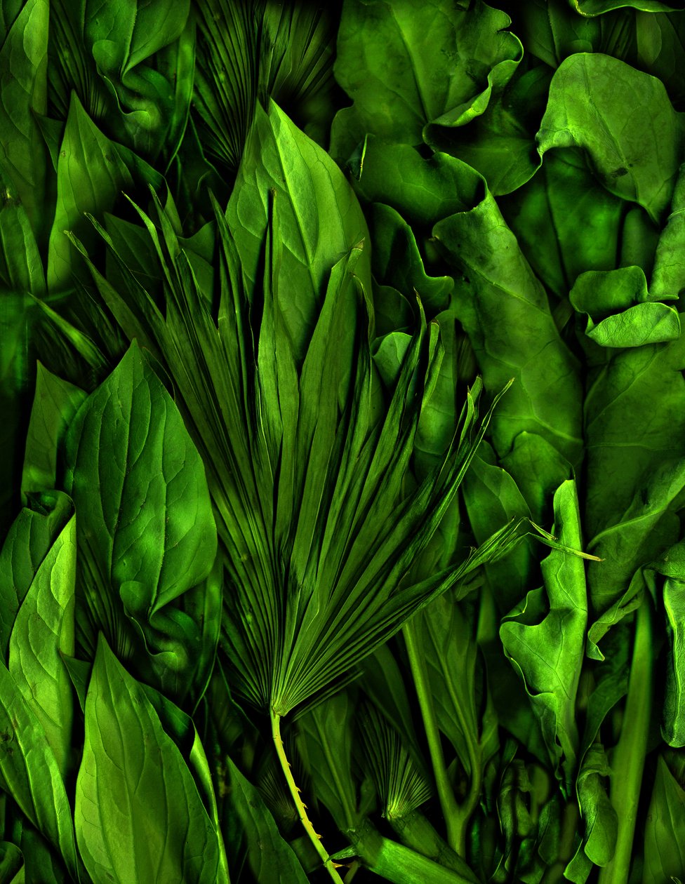  de Antonius Antonius