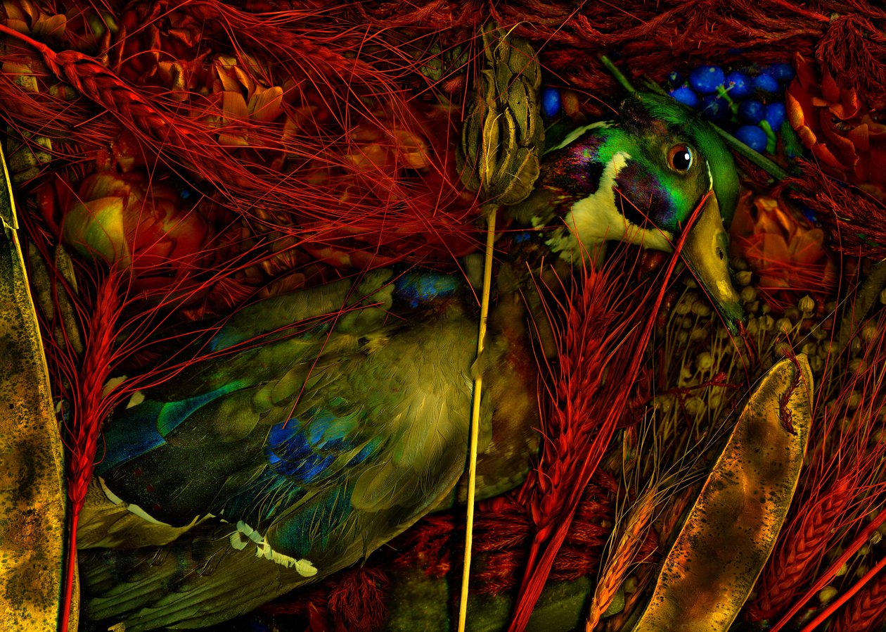  de Antonius Antonius