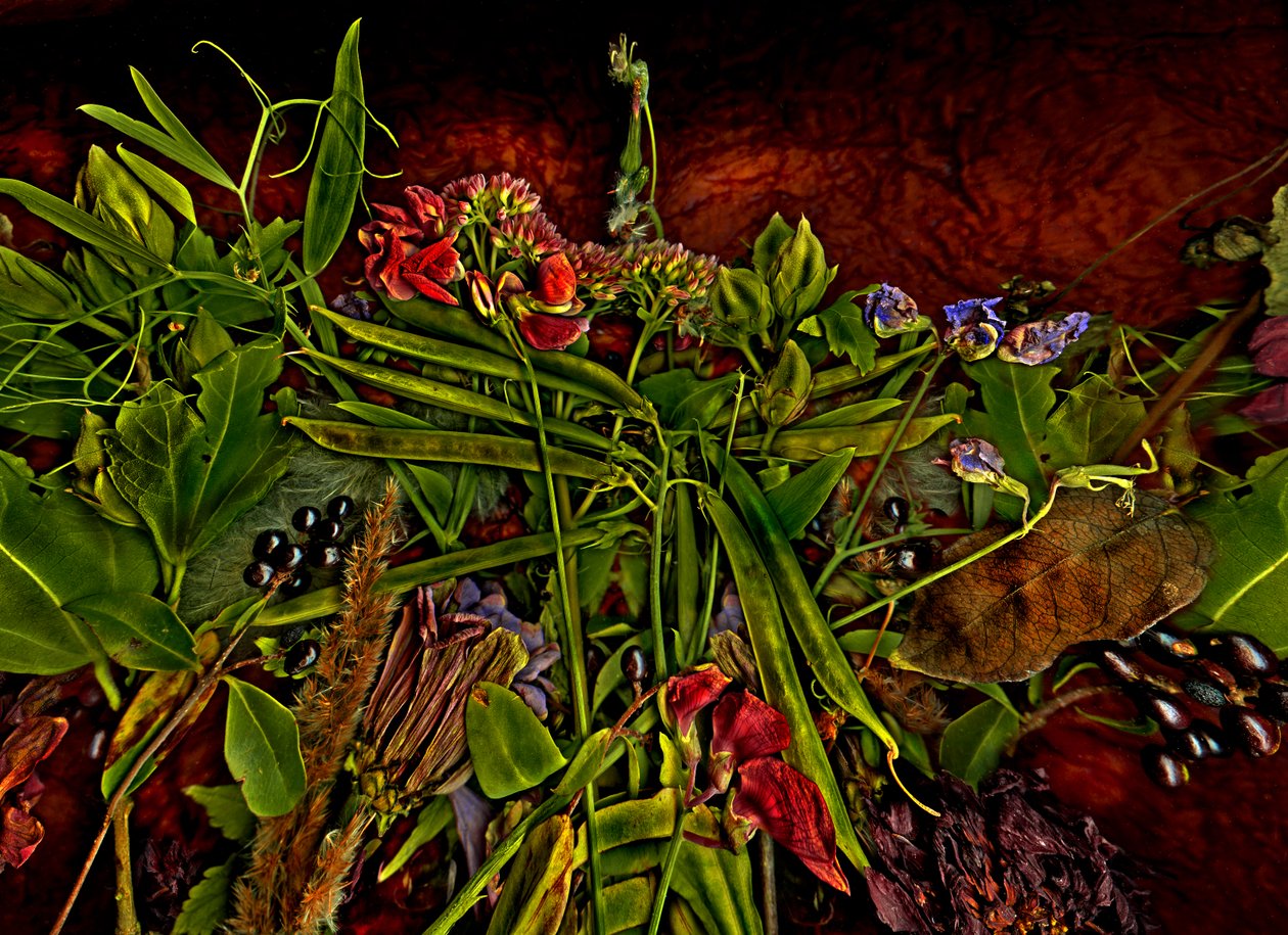  de Antonius Antonius