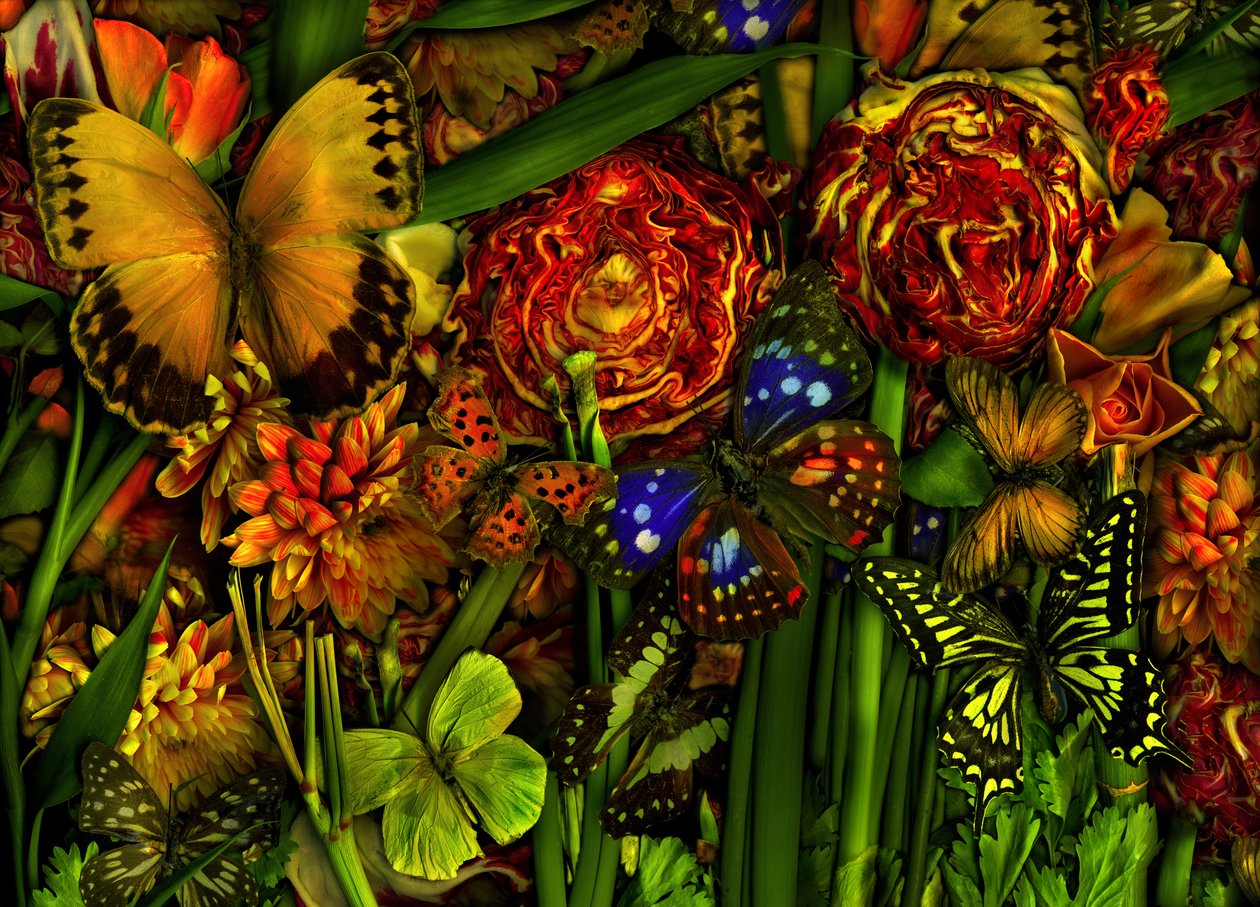  de Antonius Antonius