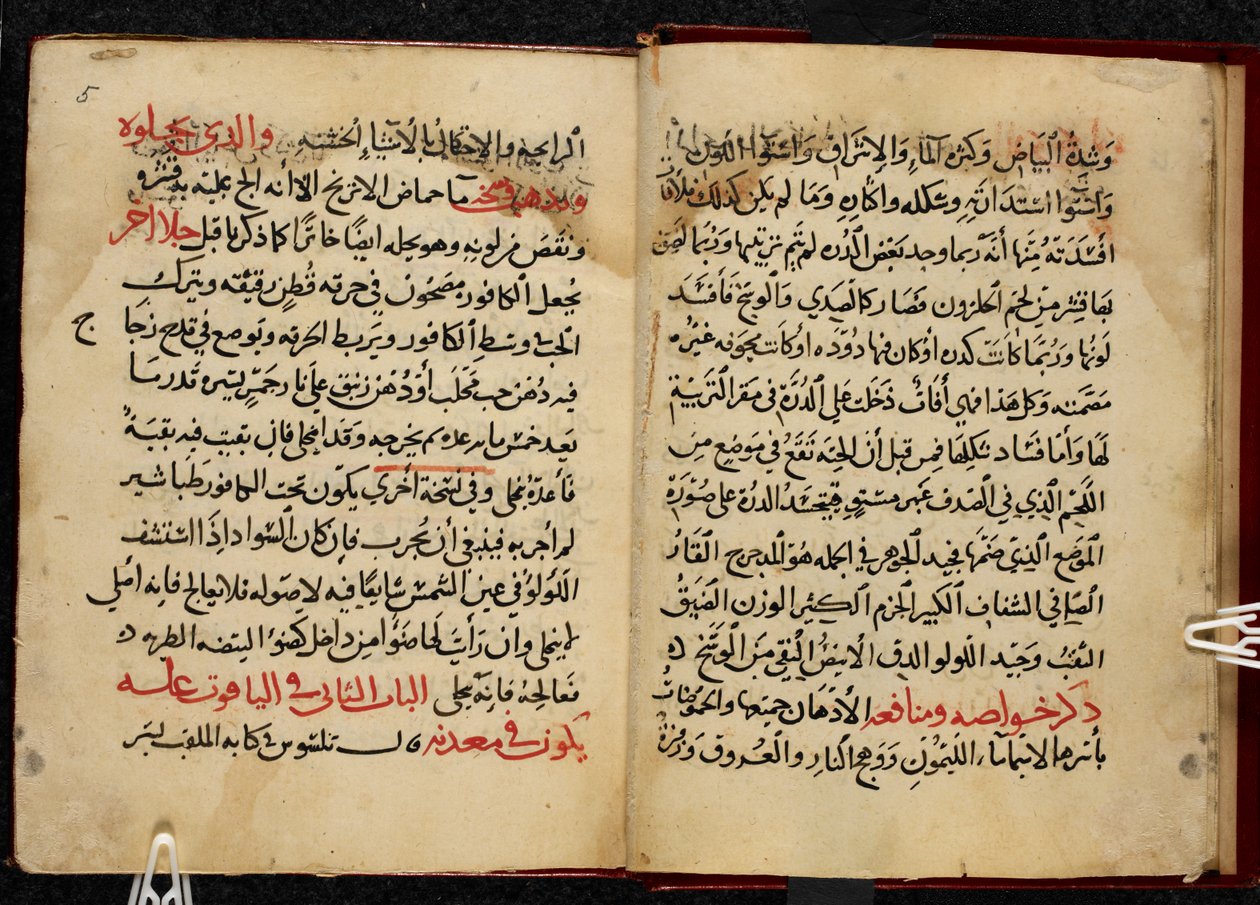 Páginas de un manuscrito, copiado en 799 / 1397, del Kitab al-Ahjar, o Libro de las piedras preciosas, de Ahmad bin Yusuf Al-Tifashi. Or. 1198 de Arabic School
