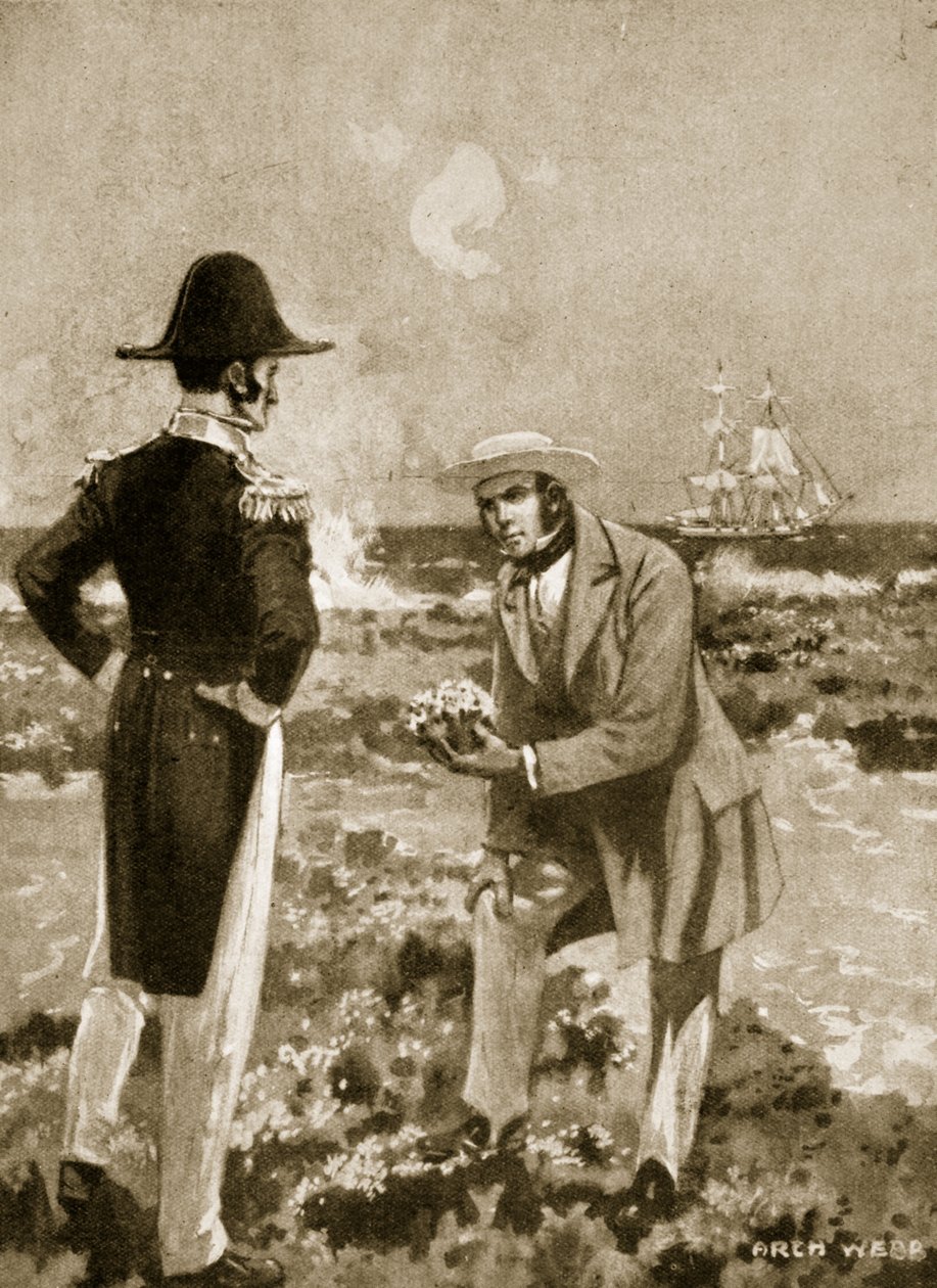 Darwin encuentra un espécimen interesante de Archibald Webb