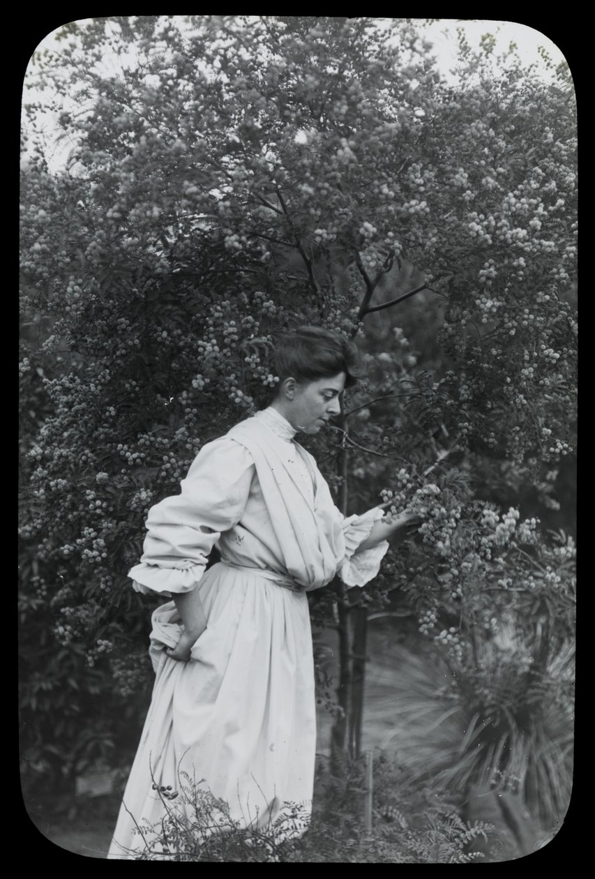 Amy Campbell con Wattle de Archibald James Campbell