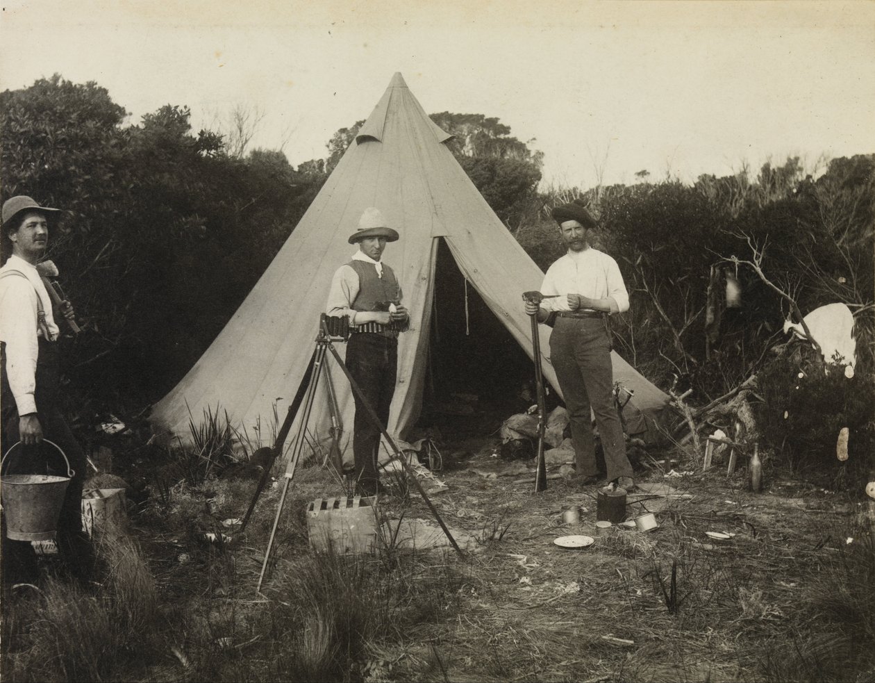 Vista del campamento, Expedición del Club de Naturalistas a la Isla King de Archibald James Campbell