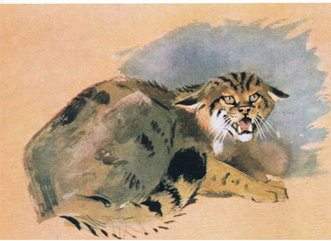 Gato montés, pub. por Book Club Associates, 1972 de Archibald Thorburn