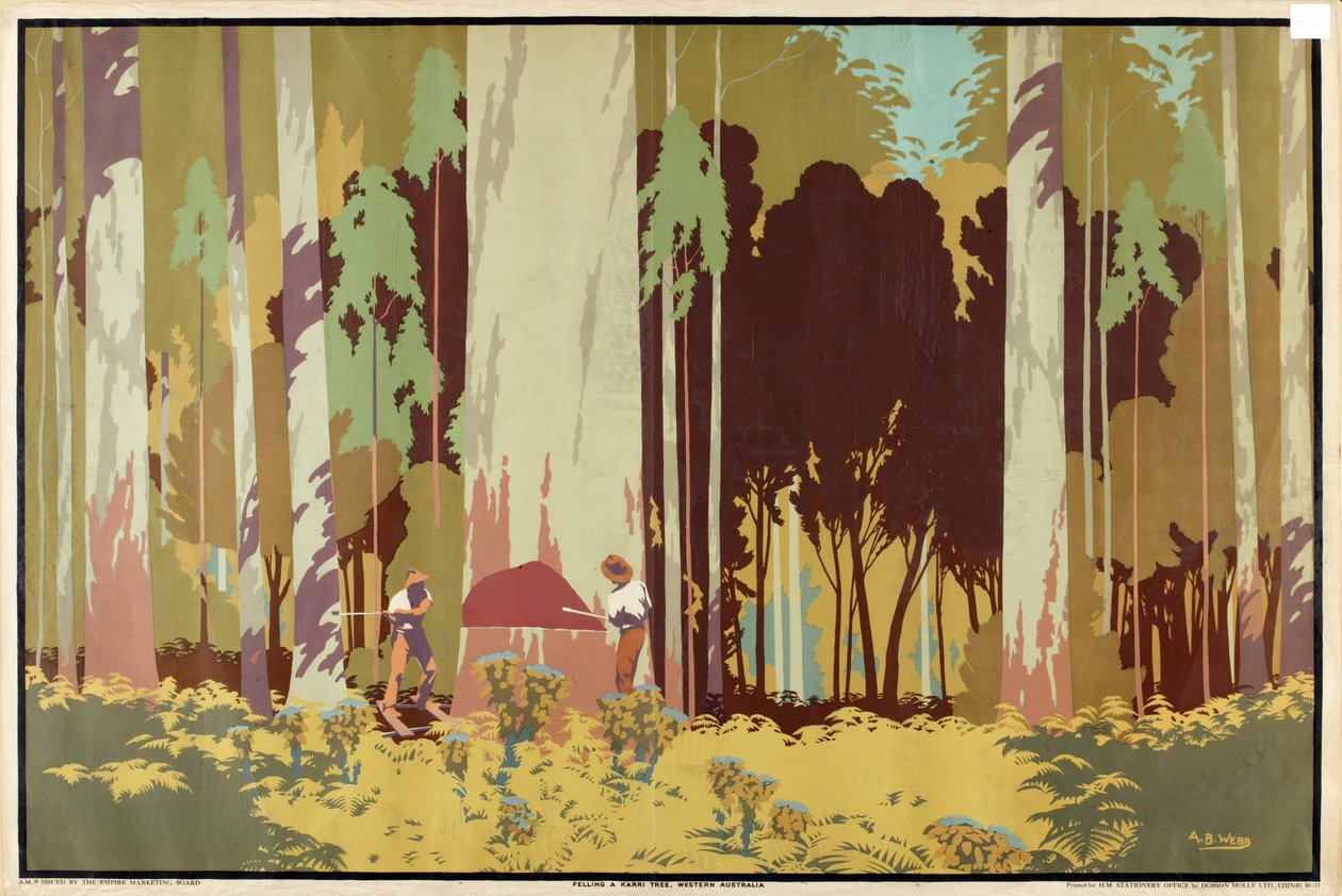 Tala de un árbol Karri, Australia Occidental, de la serie "La riqueza de trigo y lana de Australia". de Archibald Bertram Webb