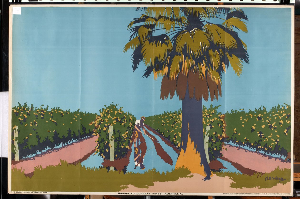 Irrigating Currant Vines - Australia (litografía en color) de Archibald Bertram Webb