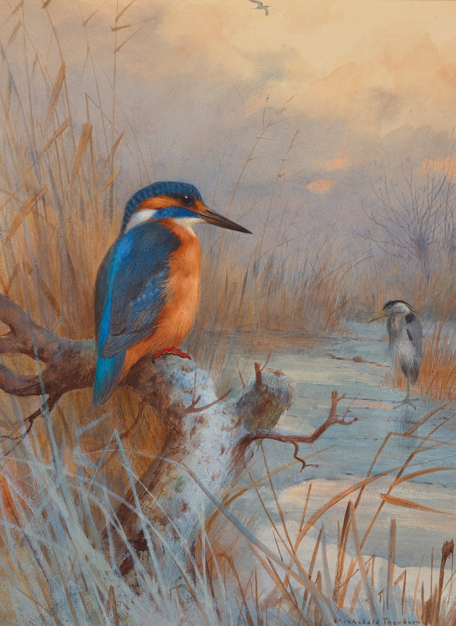 Pescadores congelados: Martín pescador y garza en un paisaje invernal de Archibald Thorburn
