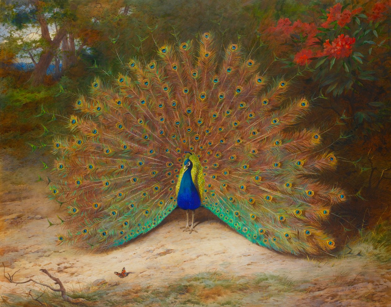 Pavo real y mariposa pavo real de Archibald Thorburn