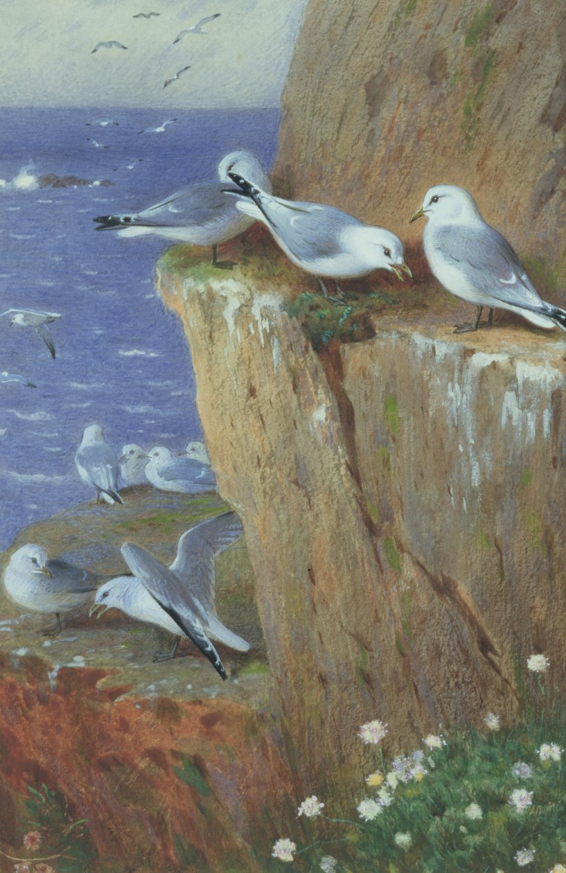 Gaviotas de Archibald Thorburn