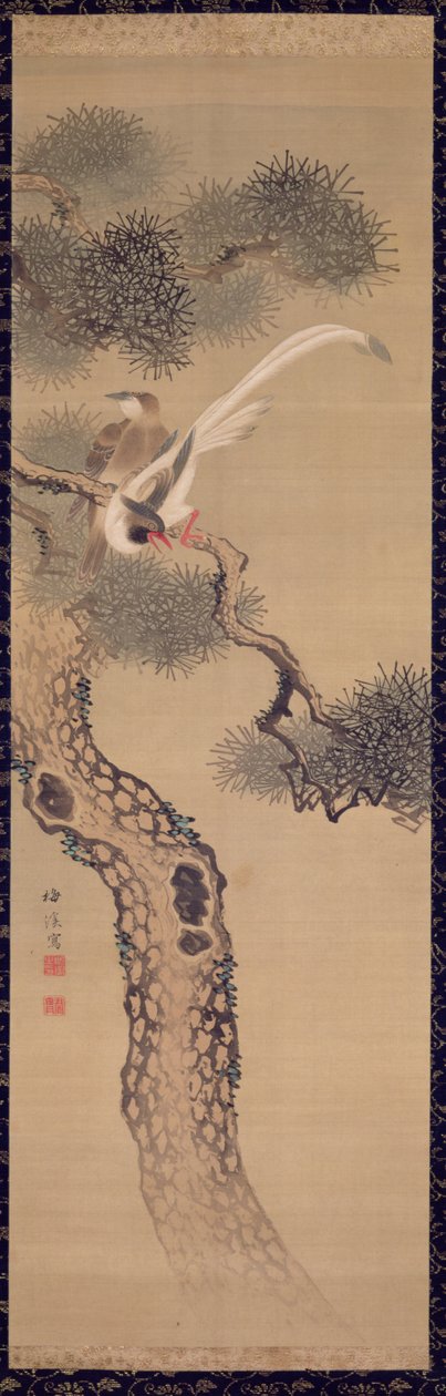 Aves de cola larga en un pino, c.1800 de Ariwara Baikei
