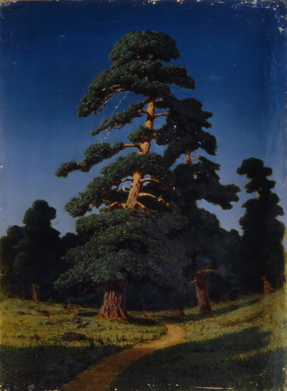 Pino de Arkhip Ivanovich Kuindzhi