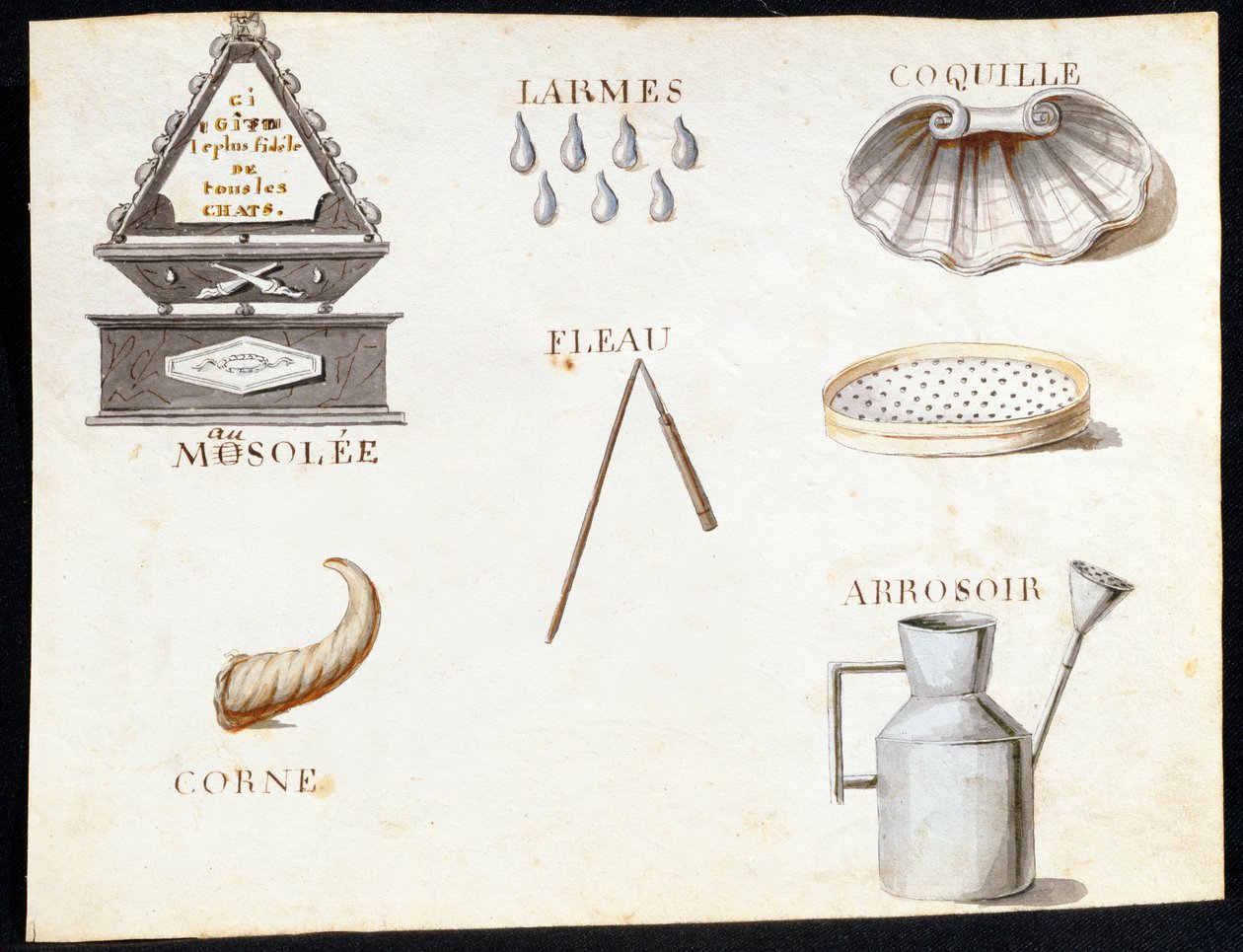 Ilustraciones de 