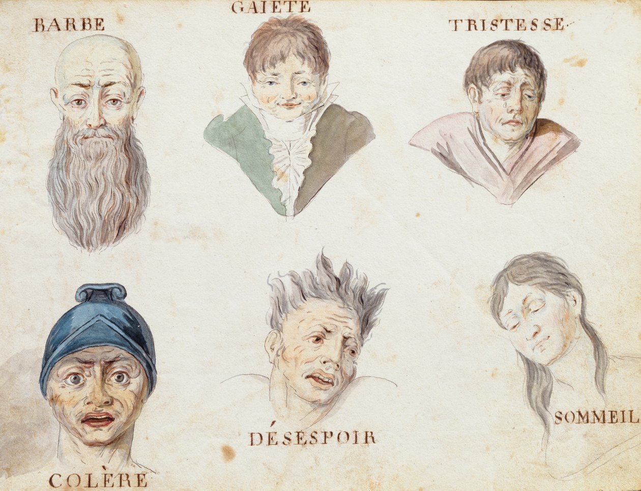 Ilustraciones de 