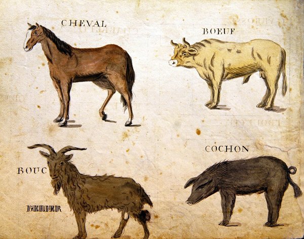 Ilustraciones de 