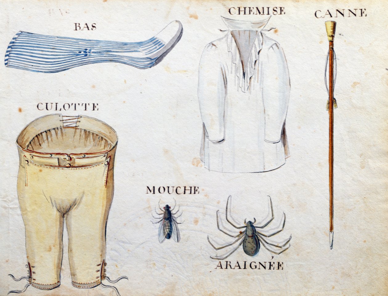 Ilustraciones de 