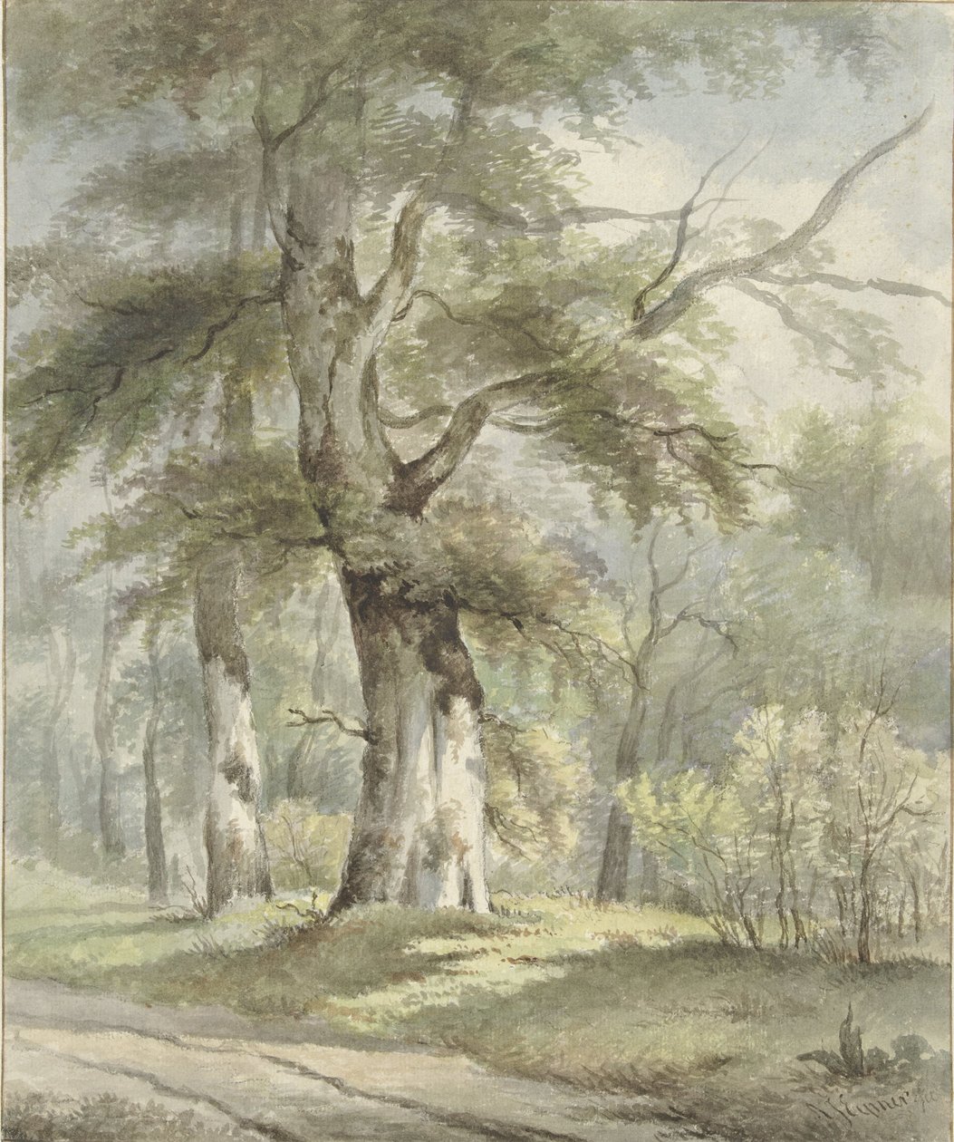 Vista del bosque de Arnoldus Johannes Eymer
