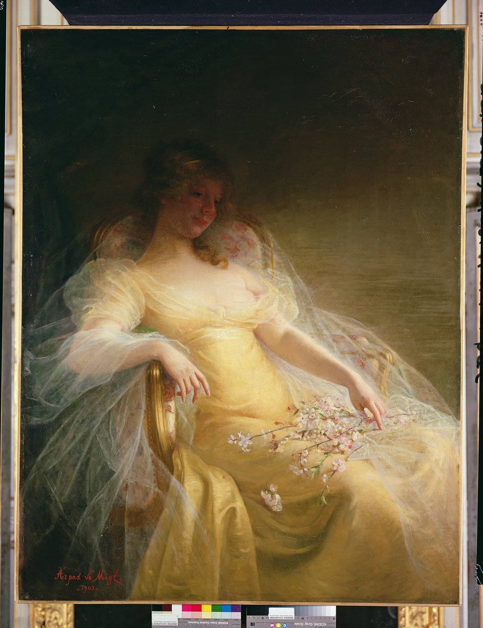 Retrato de una mujer | Arpad Migl | Impresión de arte