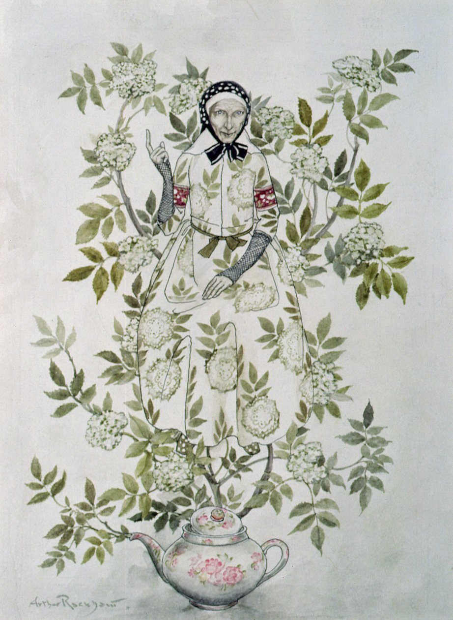En medio de un árbol se sentaba una anciana de aspecto amable, ilustración de 