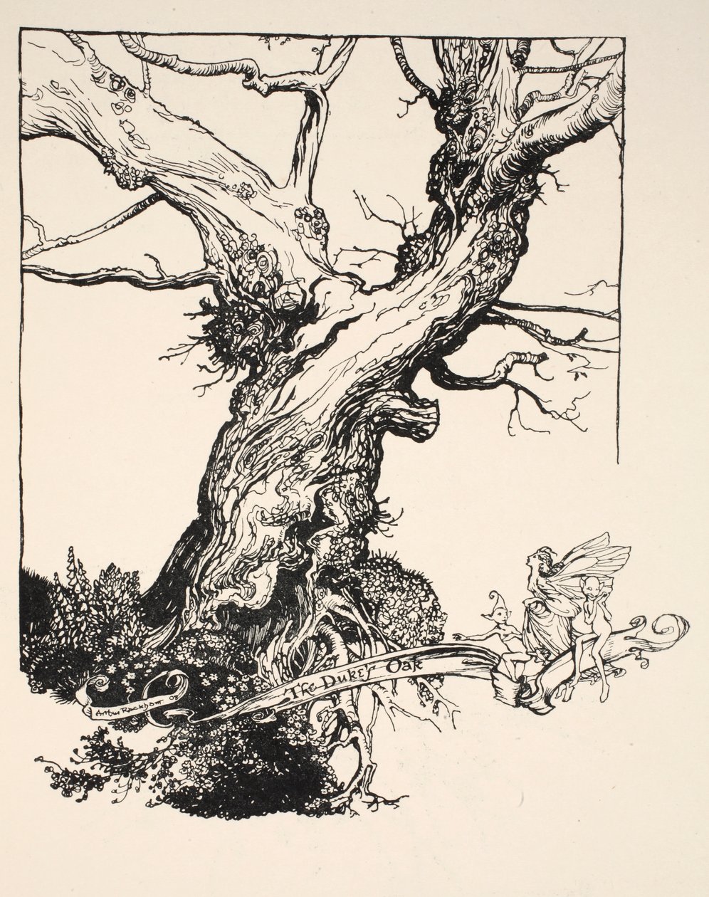El roble del duque, ilustración de 