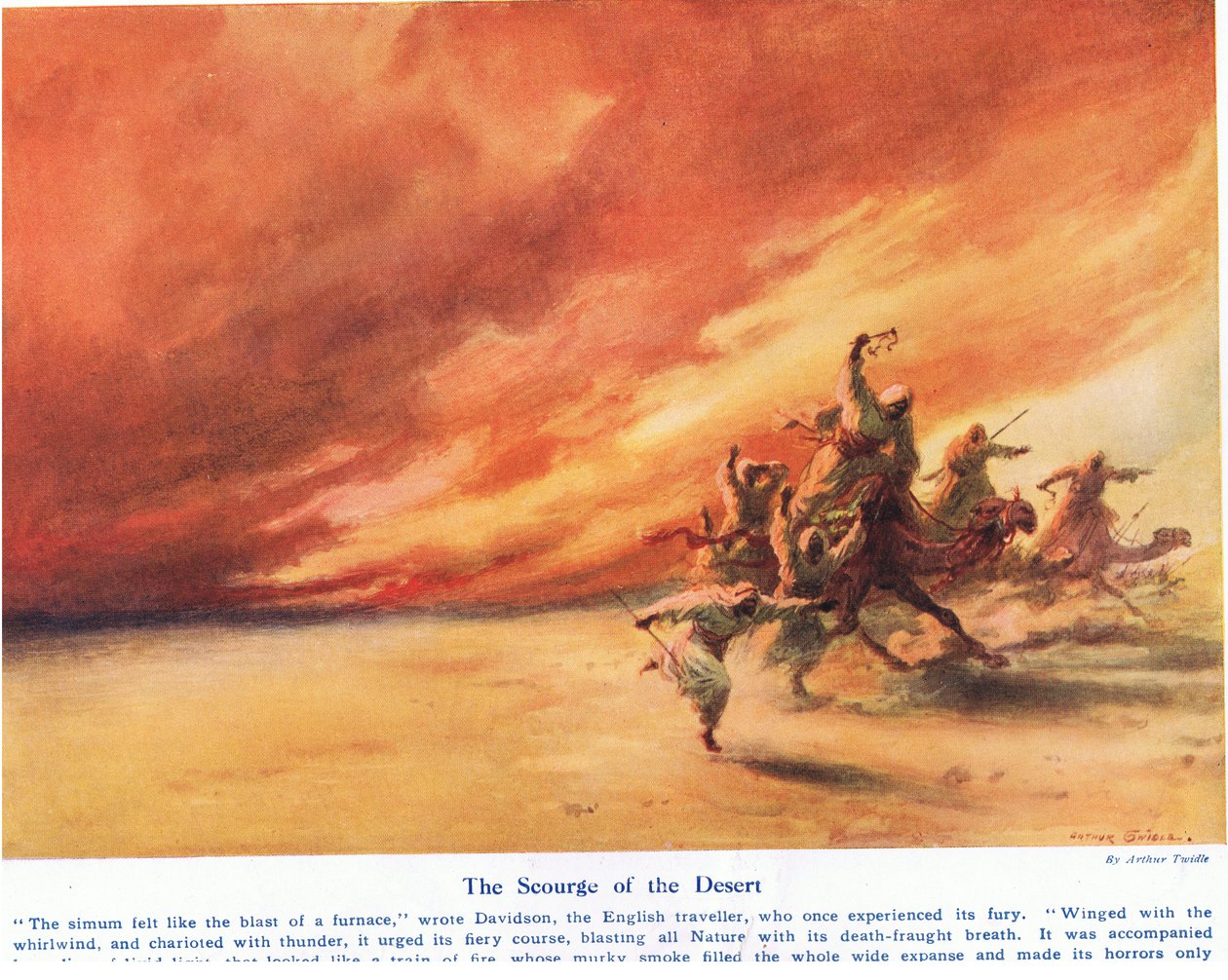 El azote del desierto, ilustración de 