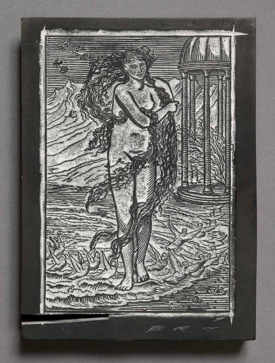 La historia de Cupido y Psique - Venus, según Edward Coley Burne-Jones (bloque de madera grabado) de Arthur Burgess