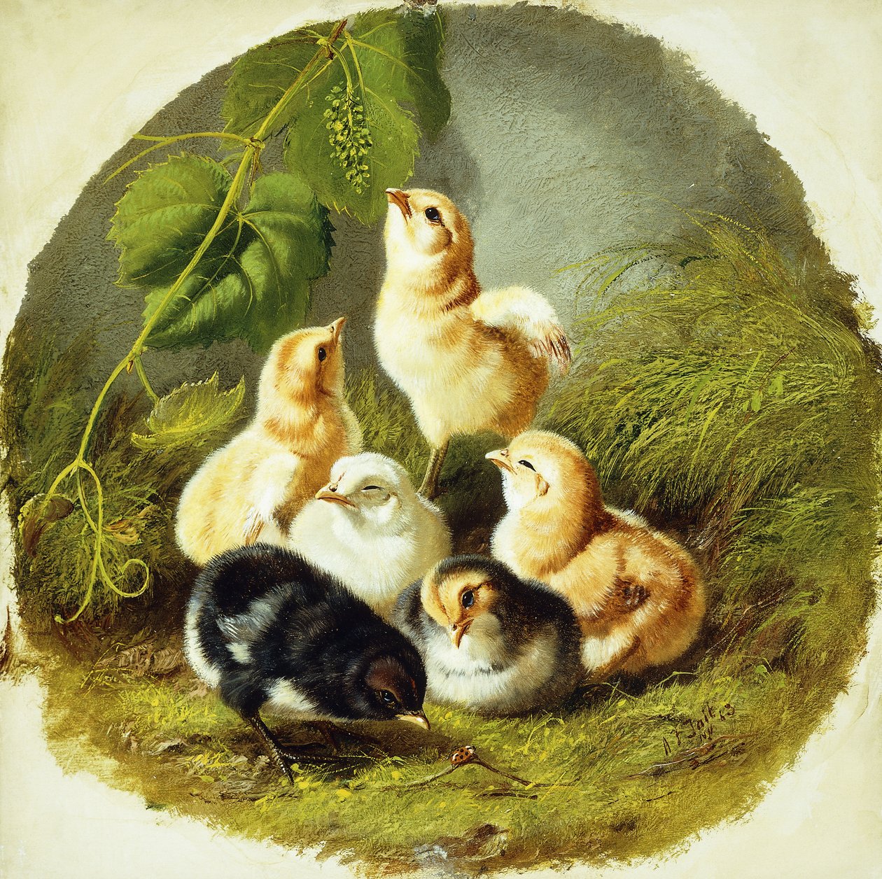 Pollitos, 1863 de Arthur Fitzwilliam Tait