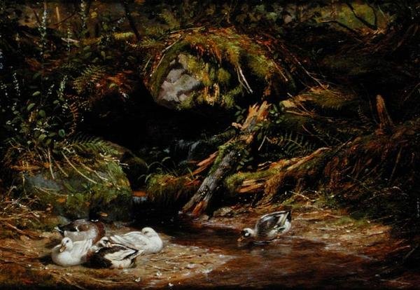 Patos en el manantial de Arthur Fitzwilliam Tait