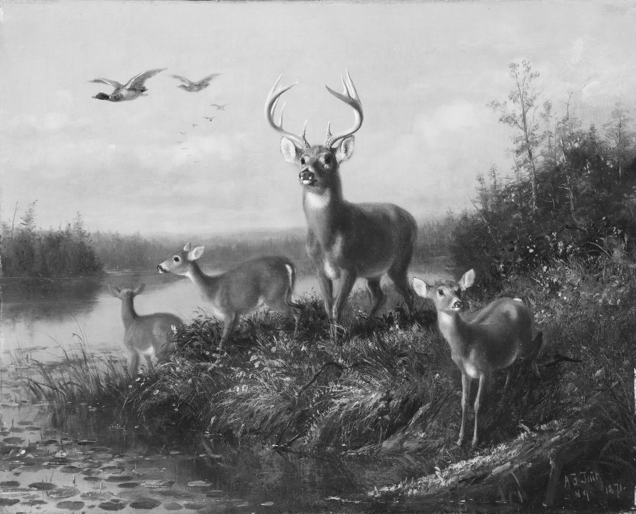 En el Qui Vive, Ciervo y Tres Ciervas, 1871 de Arthur Fitzwilliam Tait
