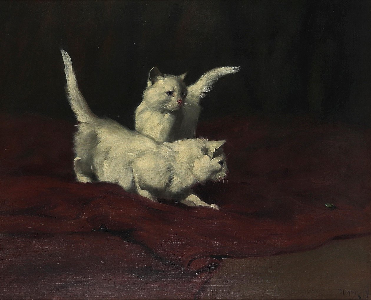 Arthur Heyer Gatito observando un escarabajo de Arthur Heyer