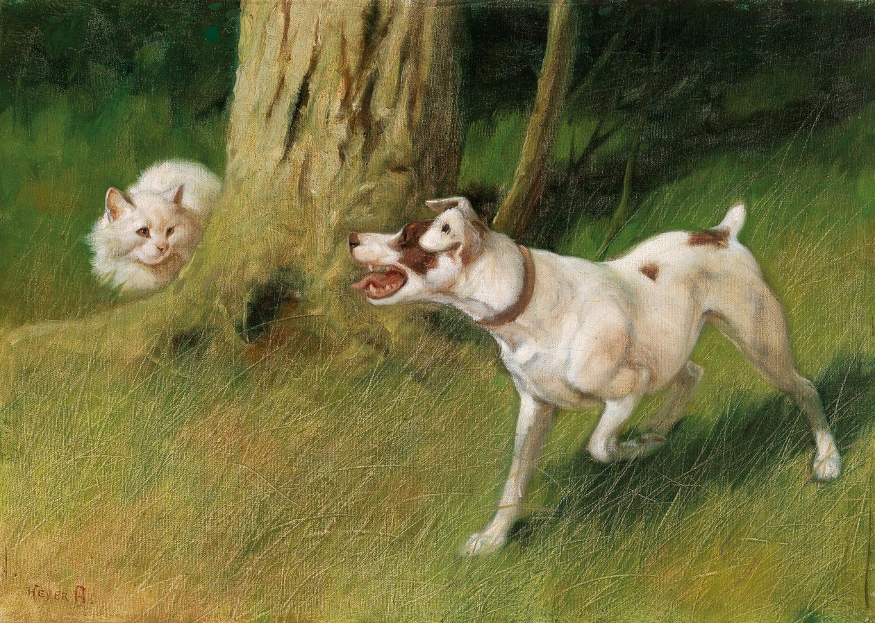 Perro y gato de Arthur Heyer