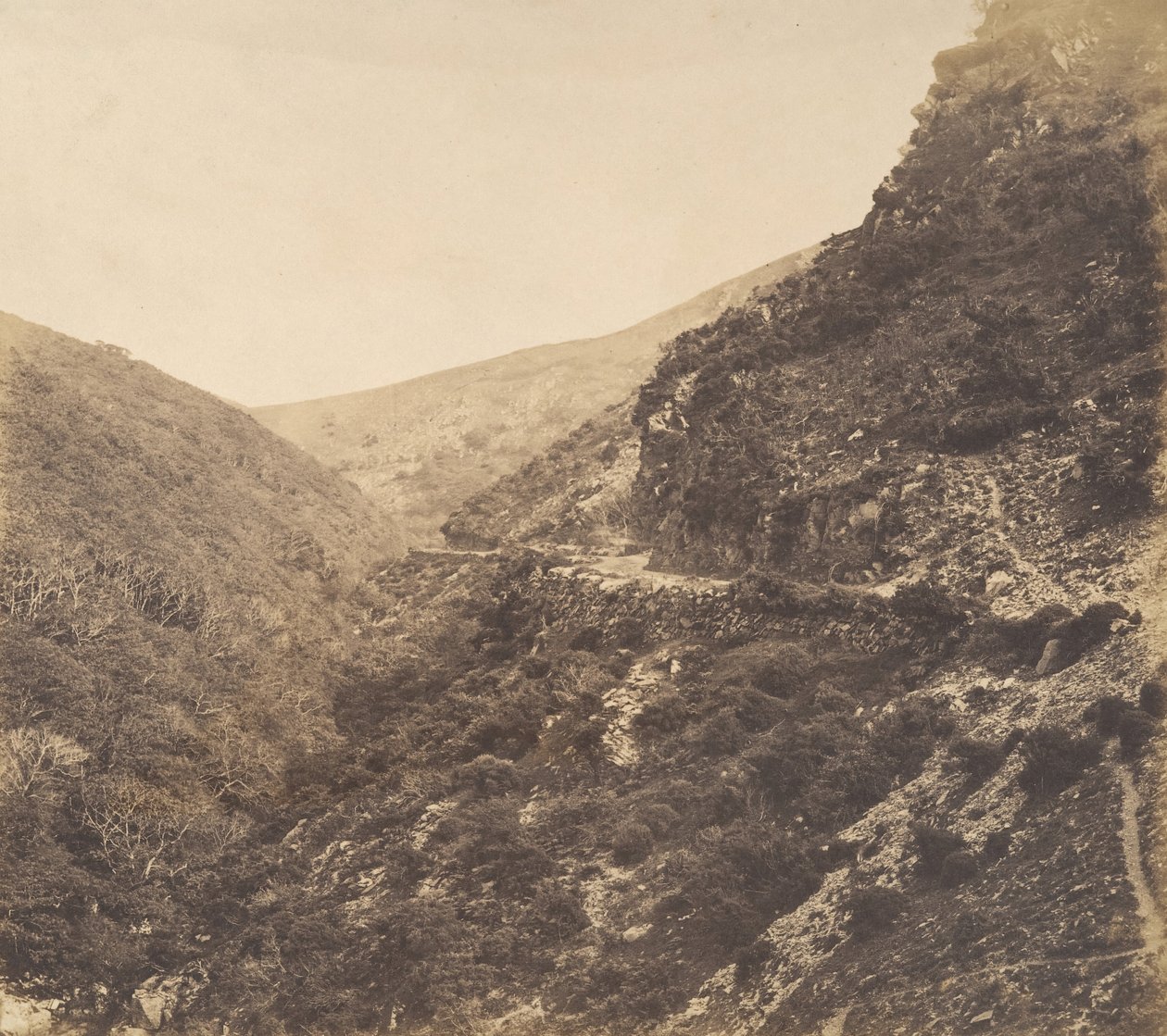 En el camino a Watersmeet, cerca de Lynton, North Devon, 1856 de Arthur Julius Pollock