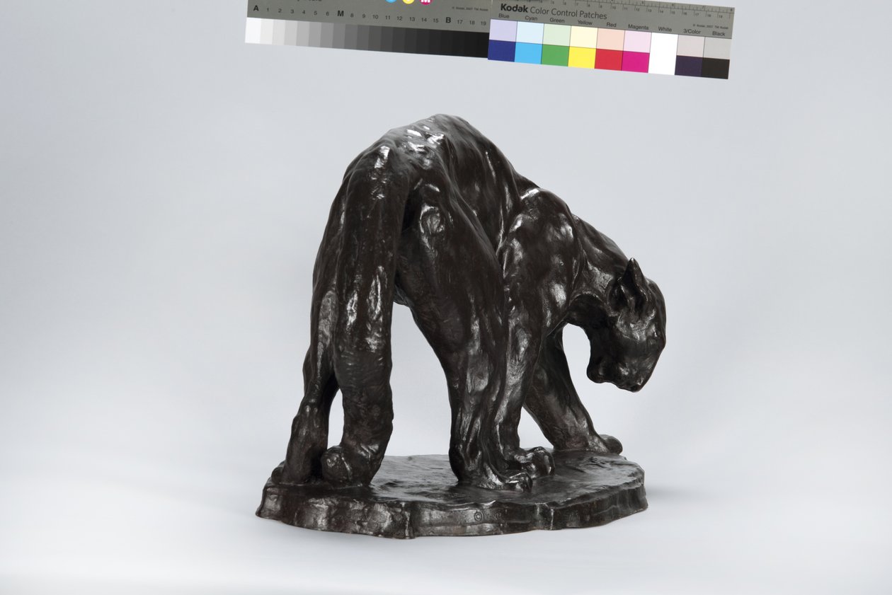 Gran Puma Oliendo Rastro de Buey de Arthur Putnam