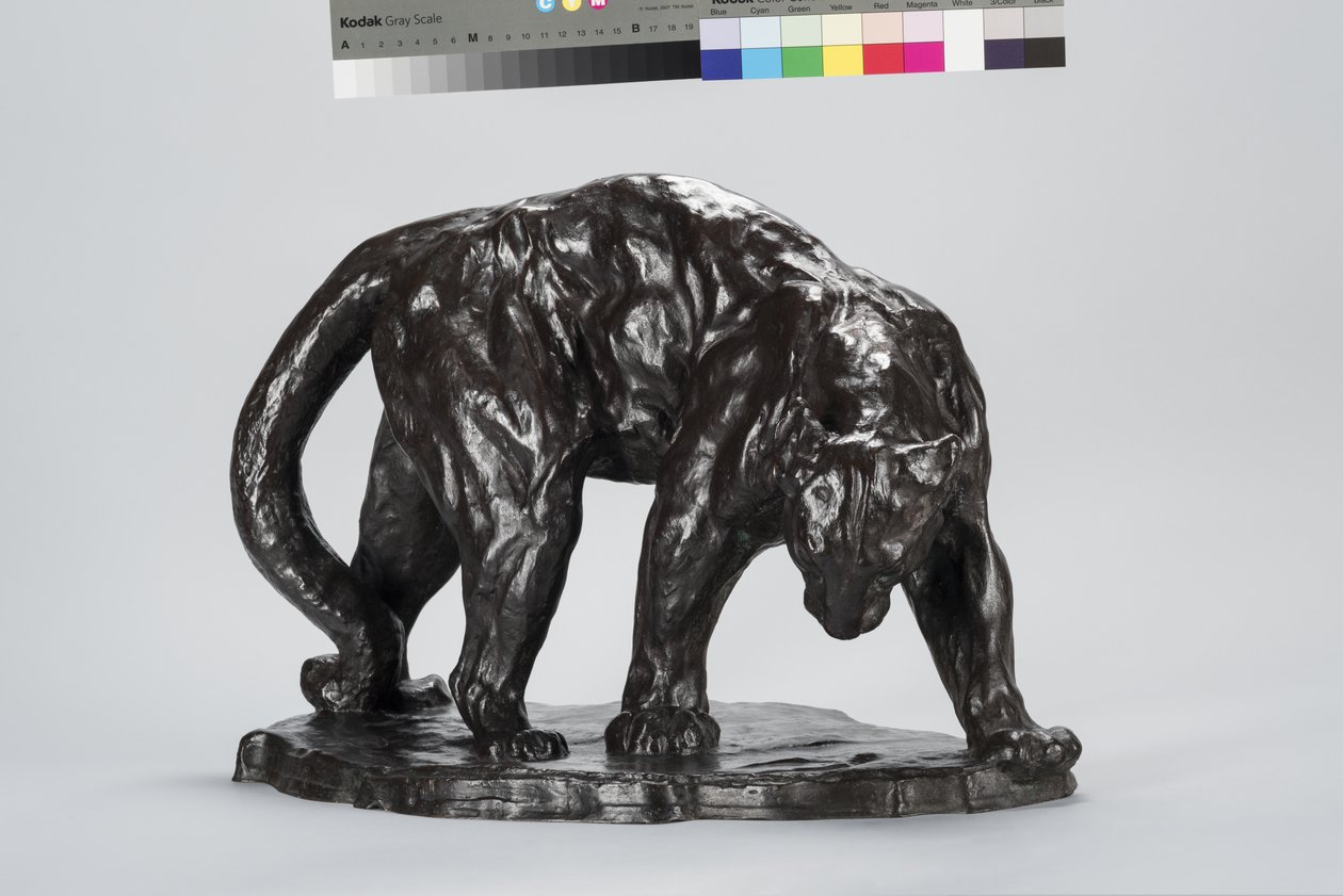 Gran Puma oliendo huella de buey de Arthur Putnam