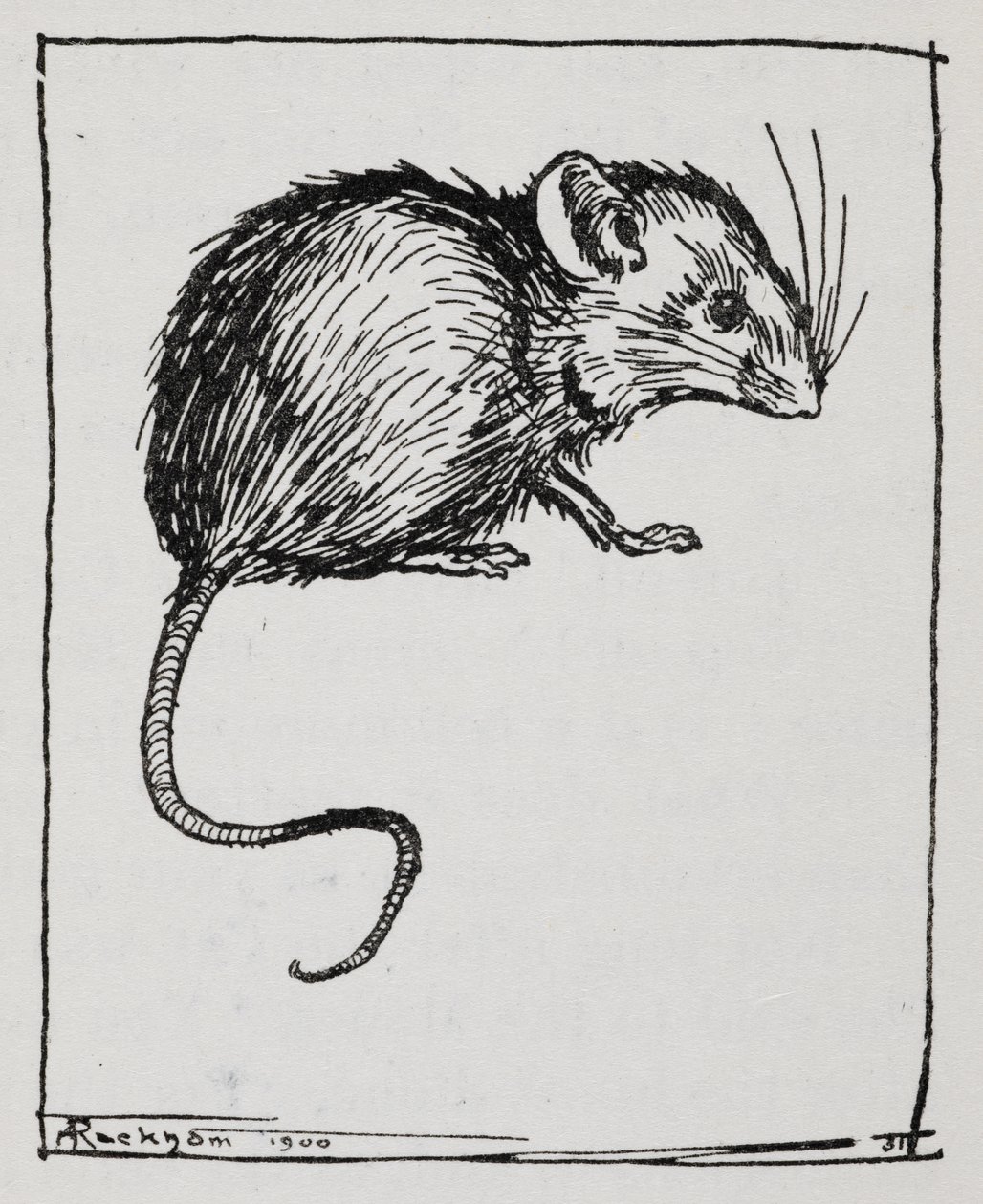 Un ratón de Arthur Rackham