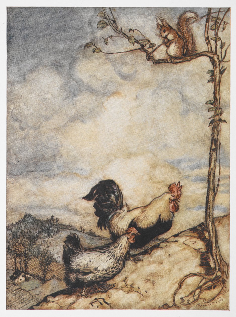 Ilustración de una gallina, un gallo y una ardilla de Las aventuras de Chanticleer y Partlet. de Arthur Rackham