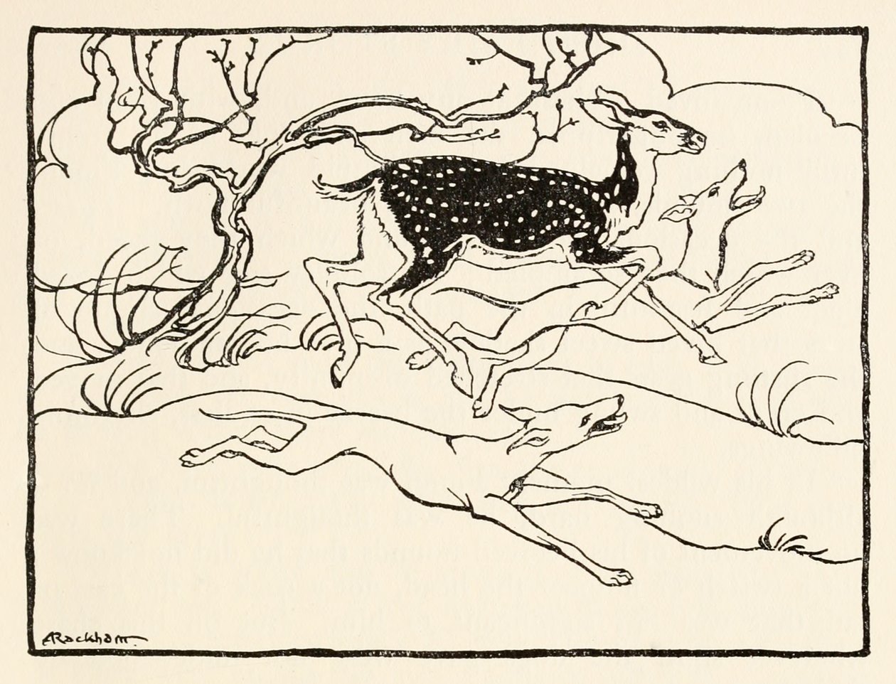 Becfola en su carro, de El cortejo de Becfola en Cuentos de hadas irlandeses de Arthur Rackham