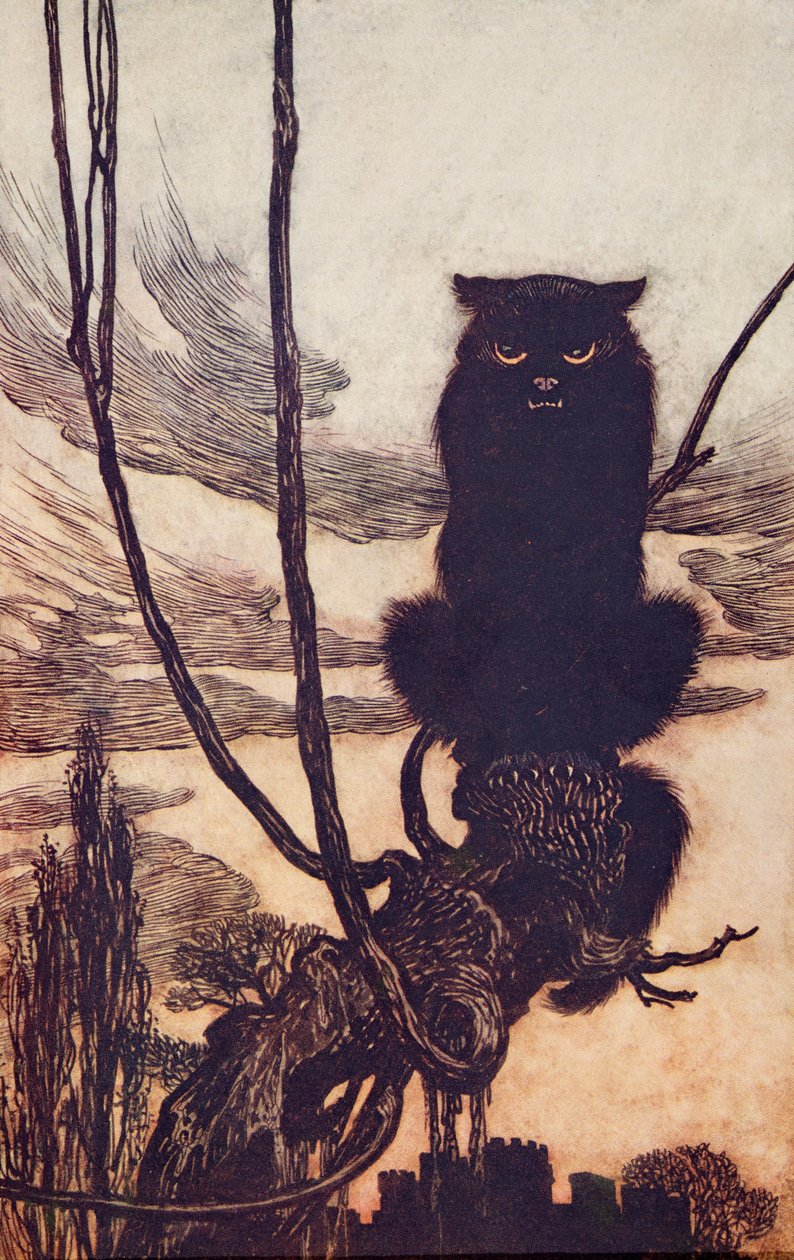 Durante el día se convertía en un gato, de Los cuentos de hadas de los hermanos Grimm, pub. 1909 de Arthur Rackham