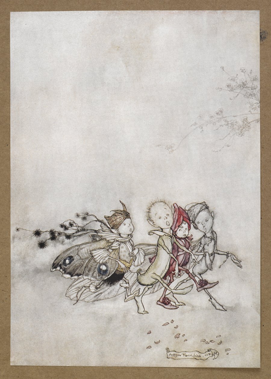 Entre la flor de la paz, la telaraña, la polilla y la semilla de mostaza".
Una escena de "Sueño de una noche de verano". de Arthur Rackham