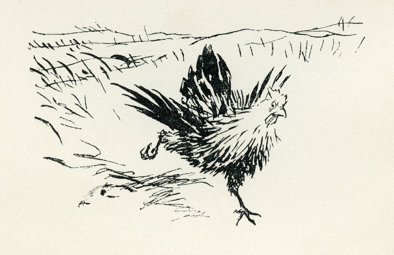 Henny-Penny de Arthur Rackham