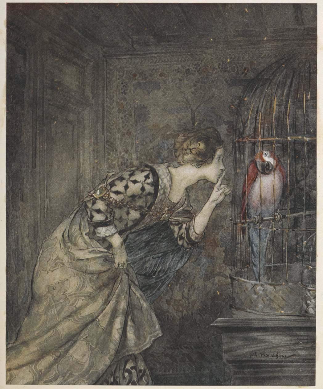 May Colvin y un loro en una jaula. de Arthur Rackham