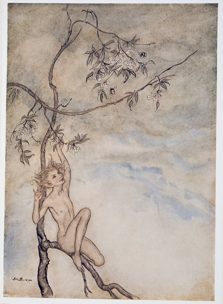 Alegremente, alegremente viviré ahora bajo la flor que cuelga de la rama, ilustración de La Tempestad de William Shakespeare, pub. 1926 de Arthur Rackham