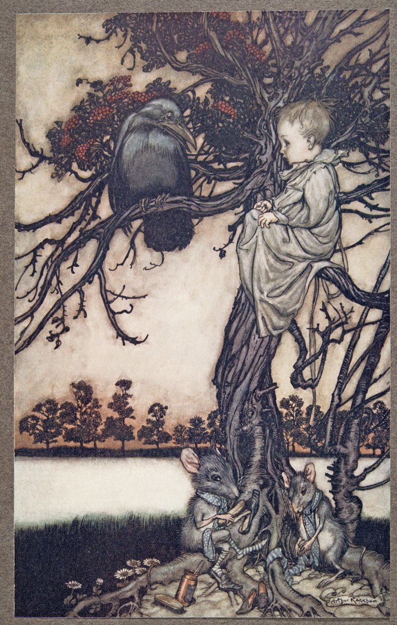 Presentó su extraño caso ante el viejo Solomon Caw, de Peter Pan en los jardines de Kensington de J. M. Barrie (1860 - 1937), pub. 1906 de Arthur Rackham