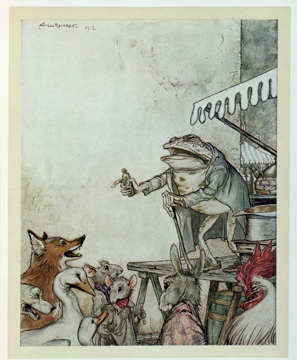 La Rana Charlatana, ilustración de 