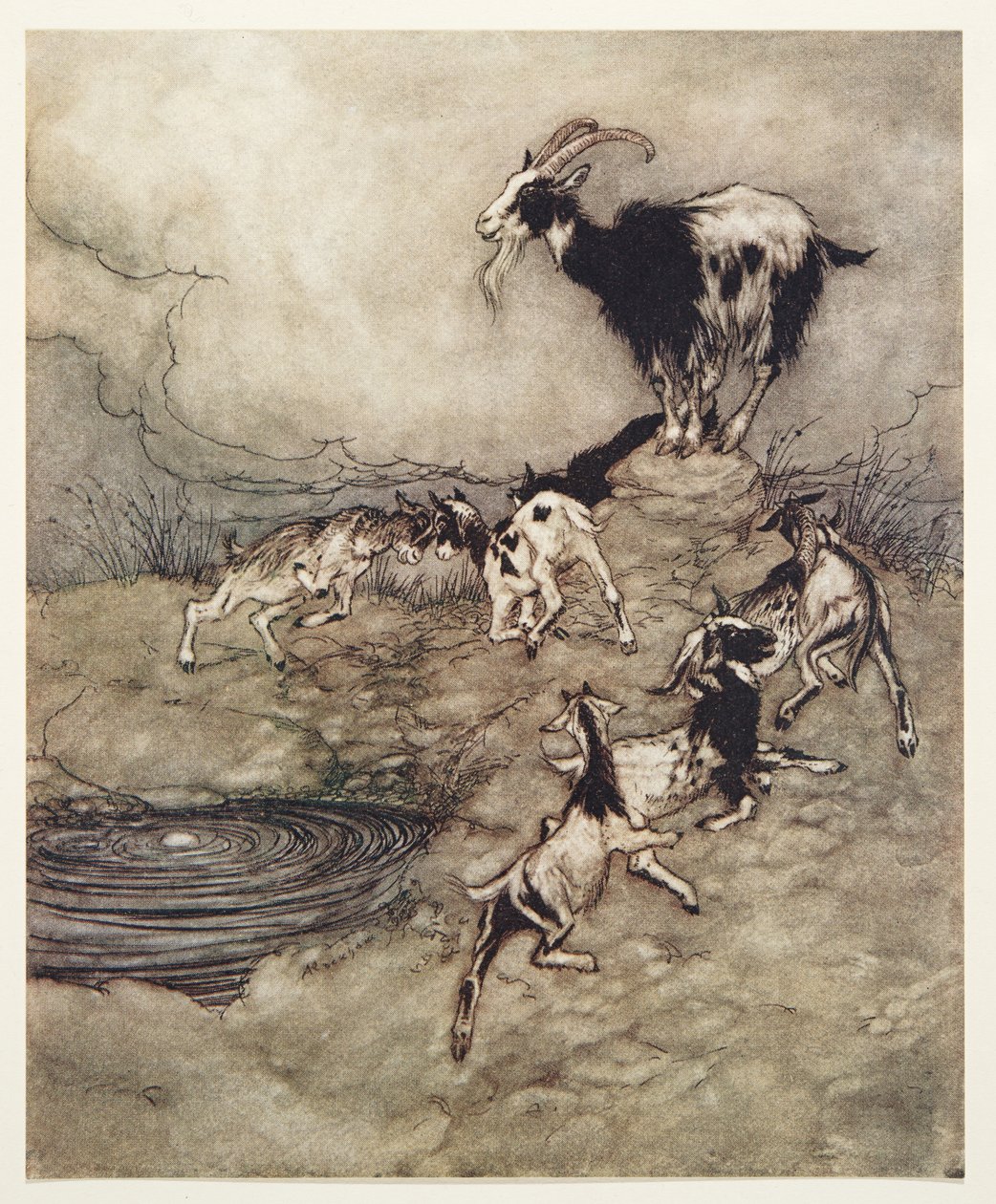 Los siete cabritos y su madre brincaron y bailaron alrededor del manantial de alegría, de Los cuentos de hadas de los hermanos Grimm, pub. 1909 de Arthur Rackham