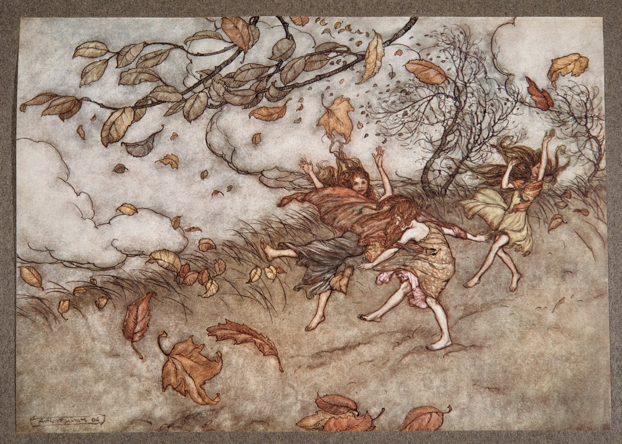 No hay casi nada que tenga un sentido del humor tan agudo como una hoja caída, de Peter Pan en los Jardines de Kensington de J M Barrie, pub. 1906 de Arthur Rackham