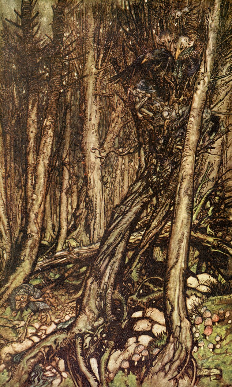 Undine de Friedrich de la Motte Fouqué de Arthur Rackham